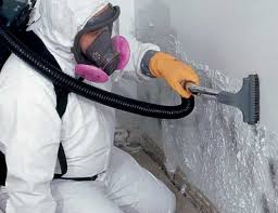 Mold Remediation for Rental Properties in Burtonsville, MD